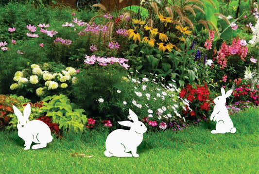 "Rabbits in the hole" (Group of 3 Rabbits)