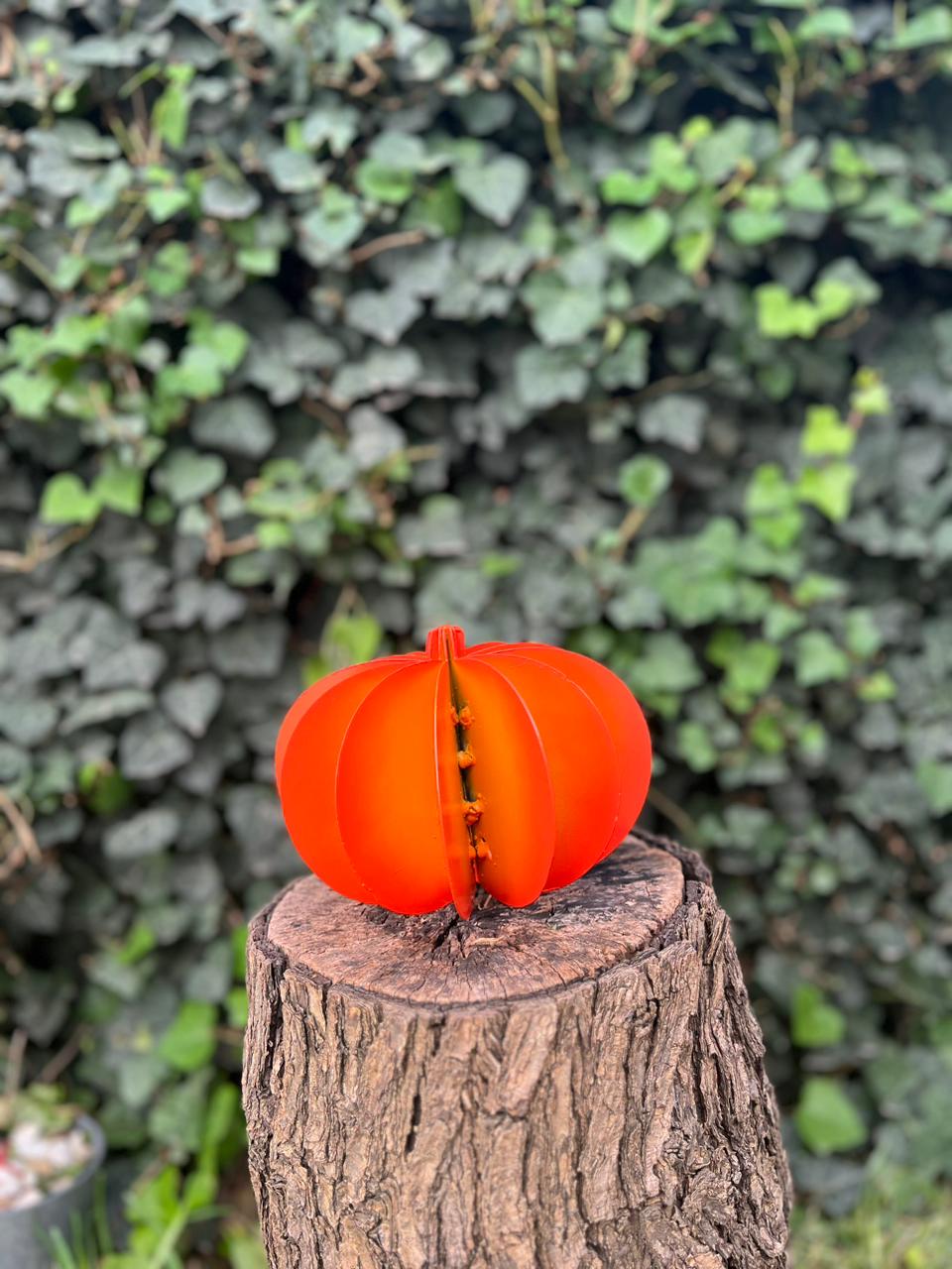 "Pumpkin"